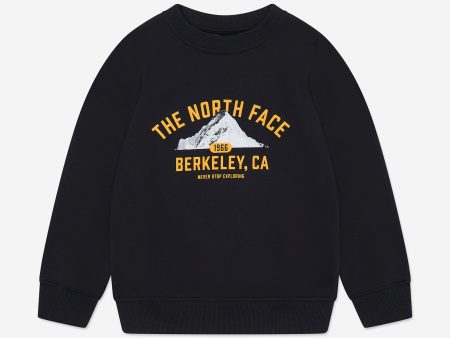 The North Face Kids Varsity Grahic Relaxed Sweatshirt in Black Cheap