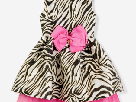 Angels Face Girls Monty Zebra Dress in Multicolour For Sale