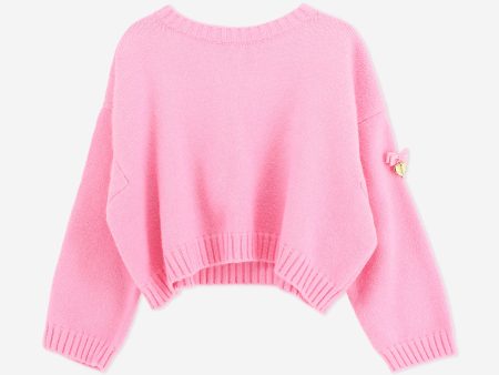 Angels Face Girls Roberta Cropped Jumper With Wings in Pink Online Hot Sale