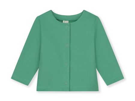 Baby Boys & Girls Green Cotton Cardigan Supply