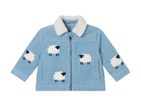 Baby Boys & Girls Light Blue Jacket Hot on Sale