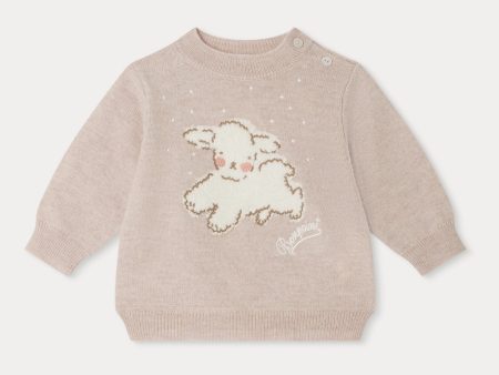 Baby Boys & Girls Beige Wool Sweater Online now