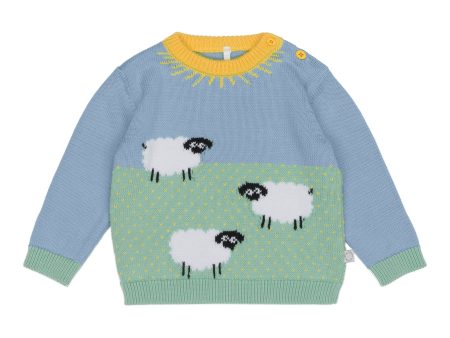 Baby Boys Blue Jacquard Cotton Sweater on Sale